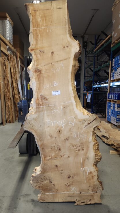 Mappa Burl