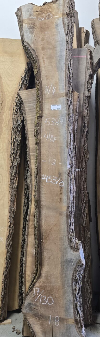 Noyer noir 17/130